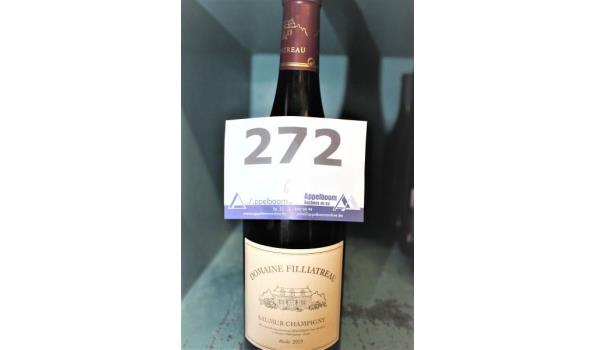 6 flessen wijn Saumur Champigny, Domaine Filliatreau, 2019
